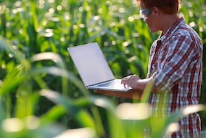 Ayudas para fomentar el intercambio de conocimiento y formación en el sector agroalimentario y forestal