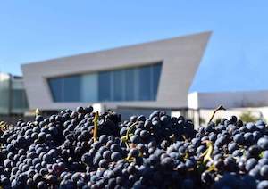 Cariñena quiere ser Ciudad Europea del Vino 2025 