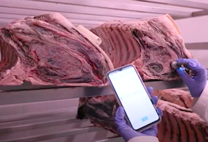 Formación al sector sobre carne madurada segura y de calidad