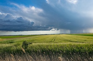 Hacia unos suelos agrícolas más saludables en Europa