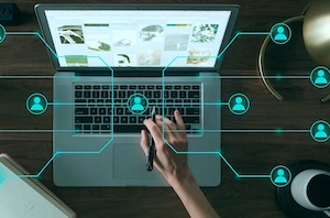 Proyectos de universitarios que aportan innovación al sector alimentario