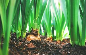 Cada vez más explotaciones en España se acercan a la agricultura regenerativa