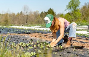 Curso gratuito de asesoramiento a explotaciones agrícolas y ganaderas
