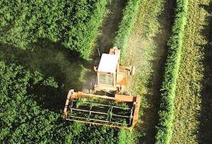 Finalizan los pagos a los agricultores de la PAC 2023: más de 4833 millones de euros
