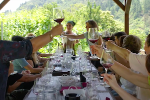 Nueva edición de Viña y Obra, festival de las artes y el vino en Cangas de Narcea