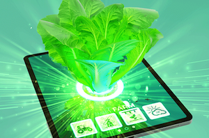 Nuevas tecnologías, nuevas formas de cultivar las frutas, vegetales y hortalizas