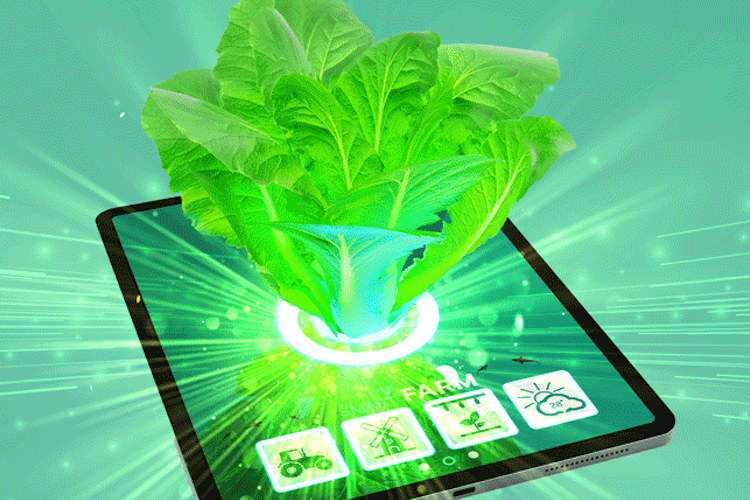 Nuevas tecnologías, nuevas formas de cultivar las frutas, vegetales y hortalizas