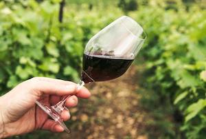 Cariñena y Requena defienden en Bruselas su candidatura a Ciudad Europea del Vino 2025