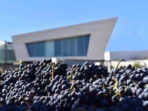Finalmente la Ciudad Europea del Vino 2025 será Cariñena 
