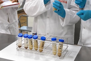 Hacia nuevas proteínas de fuentes alternativas 