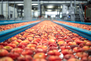 Un informe europeo demuestra la importancia de las cláusulas espejo en productos agrícolas