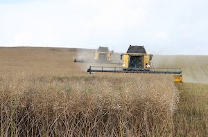 Aprobado el plan de seguros agrarios para 2025, con importantes novedades