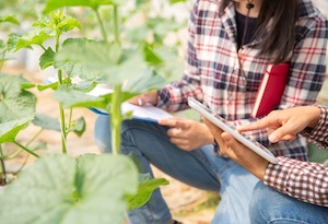 Arrancan las estancias formativas para jóvenes agricultores y ganaderos