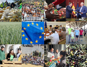 El balance de 2024 para el campo, visto por los agricultores y ganaderos 