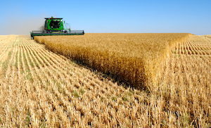 La renta agraria en España sigue creciendo 