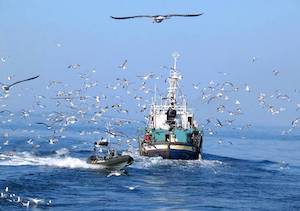 Las medidas para mantener en 2025 los días de pesca en el Mediterráneo se financiarán con fondos públicos