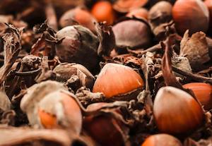 Biometano para el transporte a partir de residuos agroalimentarios
