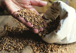 Comienza en Ciudad Real la feria de ingredientes naturales Origin Natura