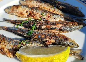 Este año tendremos más sardina y más boquerón