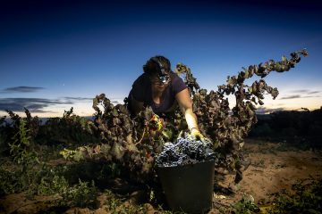Las mejores fotos de 2024 sobre el mundo rural
