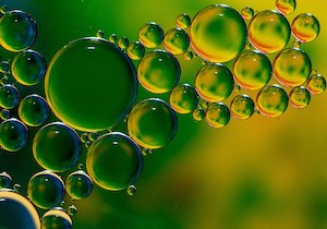 Nuevo material a base de aceite de oliva que podría reemplazar a los envases plásticos de alimentos