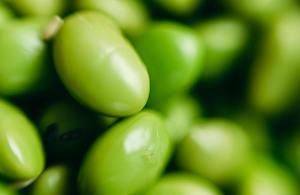 Proyecto para impulsar la fabricación de proteínas vegetales en Galicia