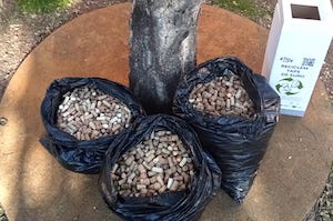Prueba piloto para la recuperación y reciclado de tapones de corcho
