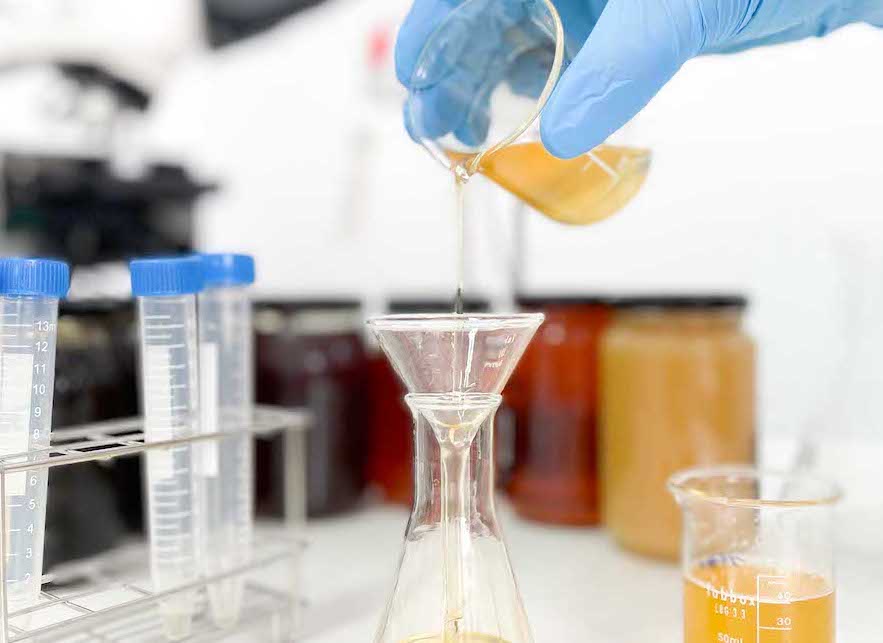 El origen exacto de la miel se podrá comprobar mediante IA