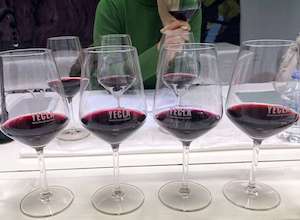 La cosecha 2024 de los vinos de Yecla, calificada como Muy Buena