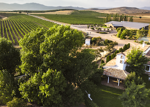 Los vinos de pago Río Negro, nueva Denominación de Origen Protegida