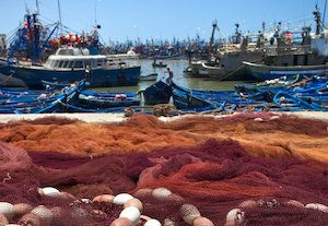 Málaga acogerá la sesión anual de la Comisión General de Pesca del Mediterráneo y mar Negro