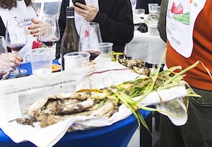  calçotada