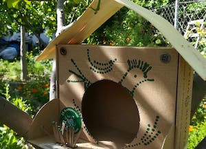 Reutilizar cajas de huevos tiene premio