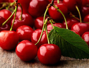 Van, Lapins y Burlat, nuevas variedades de cereza en el Valle del Jerte