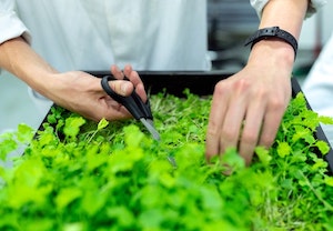 Ya se pueden presentar candidaturas a los Premios a la Innovación para Mujeres Rurales