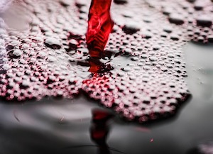La producción de vino en la primera mitad de campaña aumentó un 9,6 %