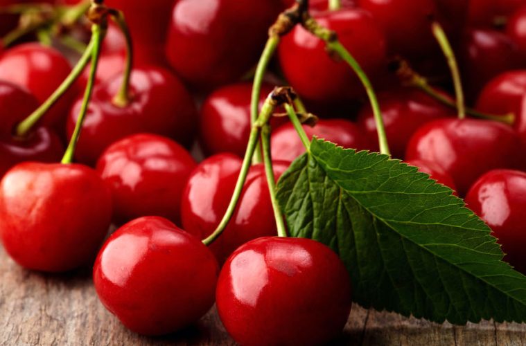 Van, Lapins y Burlat, nuevas variedades de cereza en el Valle del Jerte