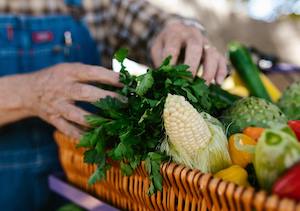 Buscando productores que estén transformando el sector agroalimentario con prácticas sostenibles