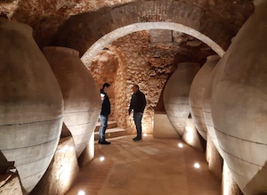 2En marcha la Ruta del Vino de Cercanías Madrid 2