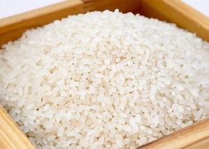 2La producción española de arroz se recupera tras dos años se sequía 2