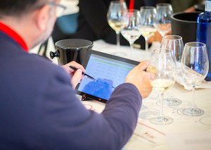 Los 50 vinos que han conseguido el Gran Bacchus de Oro 2025