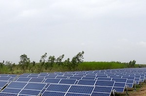 Sistemas agrivoltaicos o cómo aprovechar la agricultura para generar energía solar