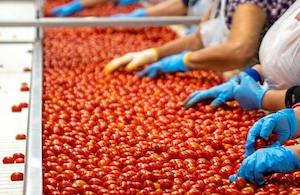 A pesar del contexto global, la industria alimentaria sigue estable y creciendo