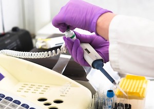 España, segundo país del mundo en investigación sobre vino y salud, sólo por detrás de China