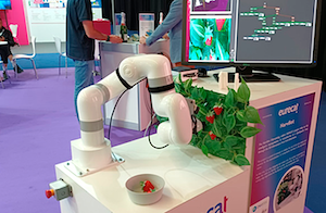Los últimos avances en robots agrícolas
