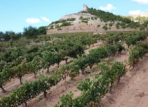 Nueva edición del Concurso de Fotografía Ribera del Duero