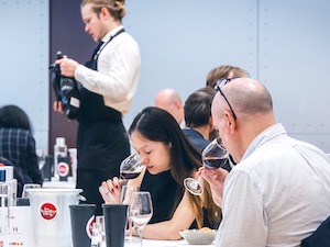 Todo listo en Cariñena para el Concurso Garnachas del Mundo