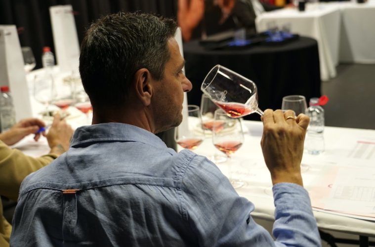 Los mejores vinos del año de las Denominaciones de Origen Jumilla y Cigales (Foto DOP Cigales)