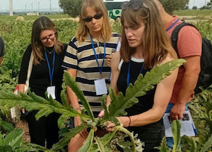 De la Tierra al Plato, los jóvenes hosteleros conectan con el sector primario