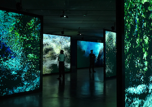 Ecos del Océano, exposición sobre el impacto humano en los ecosistemas marinos